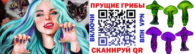 omg вход  Ленск  Галлюциногенные грибы мицелий  продажа наркотиков 